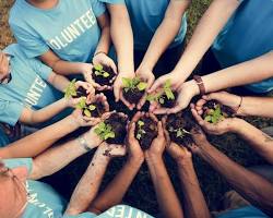 Voluntariado